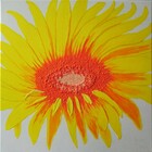 Gi204\n40 x 40 cm\nEUR 65,-