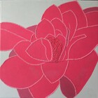 Gi205\n40 x 40 cm\nEUR 65,-