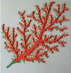 Gi207\n40 x 40 cm\nEUR 65,-