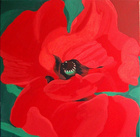 Mohn\n50 x 50 cm\nEUR 90,-