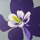 Gi211\n40 x 40 cm\nEUR 65,-