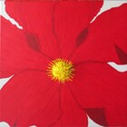 Gi212\n40 x 40 cm\nEUR 65,-