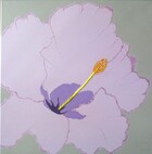 Gi213\n40 x 40 cm\nEUR 65,-
